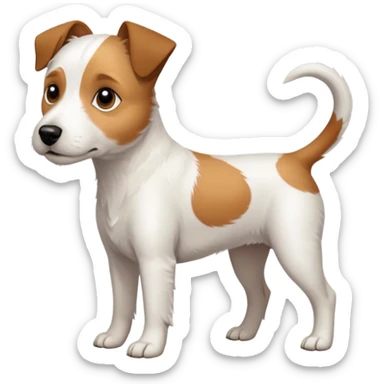 a full body slightly chubby white parson russell terrier looking dog the size of a kelpie with light brown long ears and a light brown patch on one eye and a large snout sticker