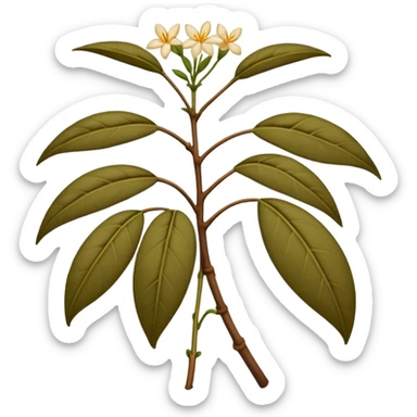 wilted indian jasmine without leaves in emoji format sticker