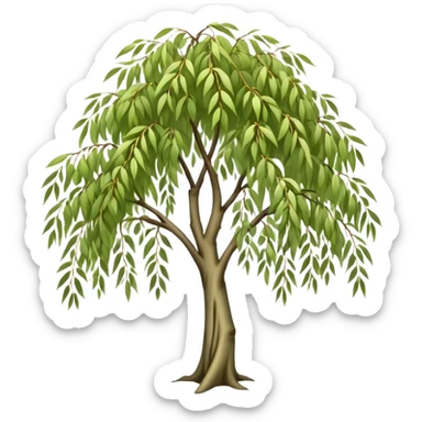 white willow tree sticker