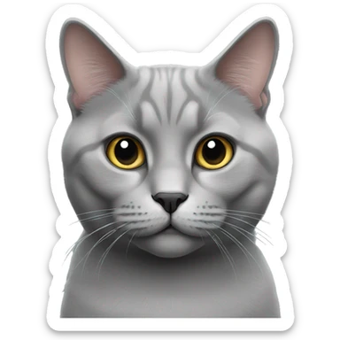 grey british cat sticker