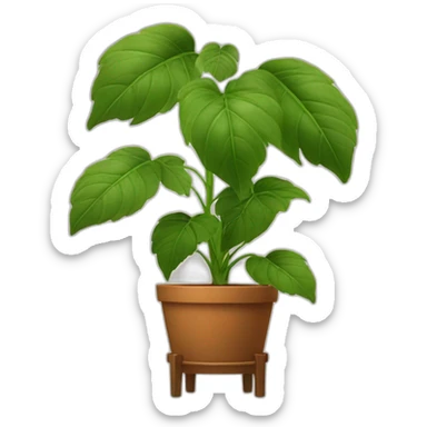 plant with big stems and big leaves in a brown flower pot on a stand in golden with four feet sticker