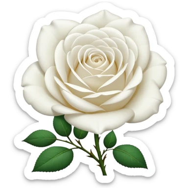 white rose, without green leaves, just flower sticker