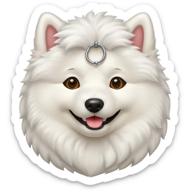 Samoyed sticker