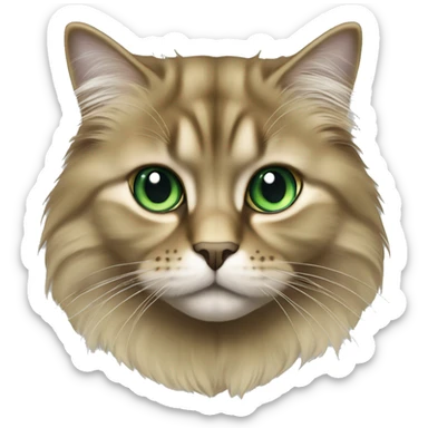 Full body British longhair golden shaded emerald green eyes with black tip tail sticker