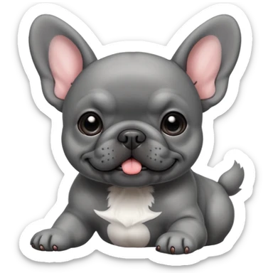 Gray French bulldog puppy, playing with a dark gray puppy sticker
