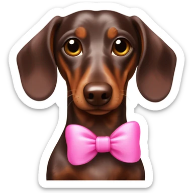 Chocolate dapple dachshund with pink bow  sticker
