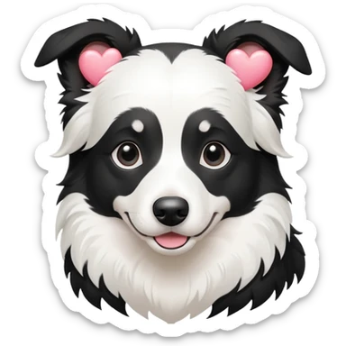 Black and white Border collie with white hearts sticker