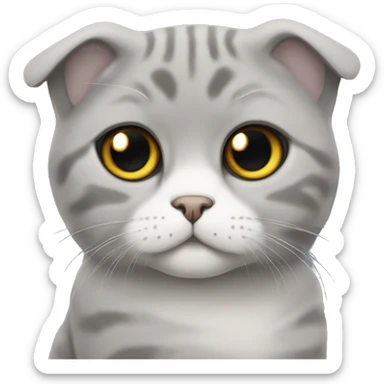 Scottish fold cat is grey  sticker