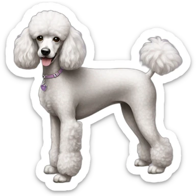 Dog Standart Poodle full body sticker