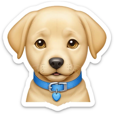 yellow lab dog wearing blue sticker