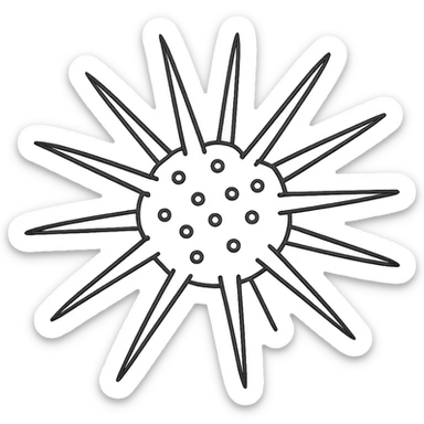Sea urchin illustration matching the logo style, clean hand-drawn blue lines, minimal, no text, transparent background, slightly different arrangement of spines. sticker