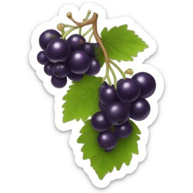 Black currant sticker