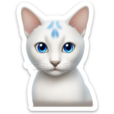 thai cat with blue eyes sticker