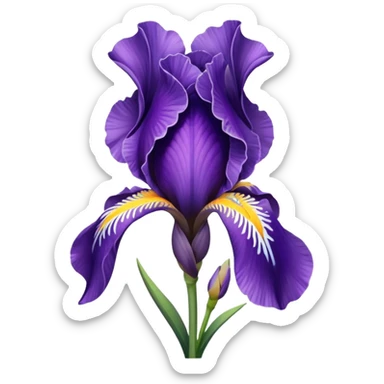 iris sticker