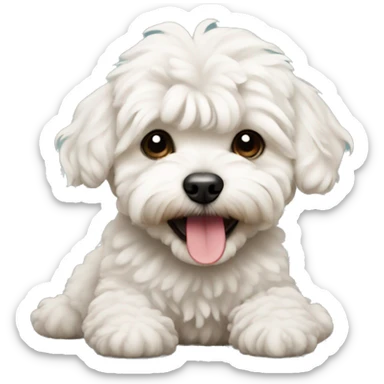 Maltipoo celebrating  sticker