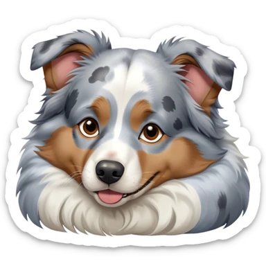 Australian shepherd blue Merle sleeping sticker