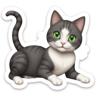 beautiful female solid dark grey cat with green eyes, white toes/paws and white patch on her chest playfully rolling upside down sticker