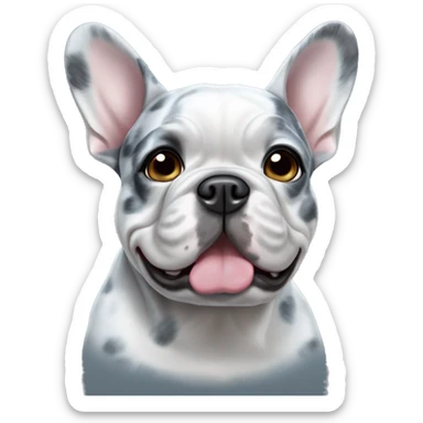 Blue merle french bulldog sticker