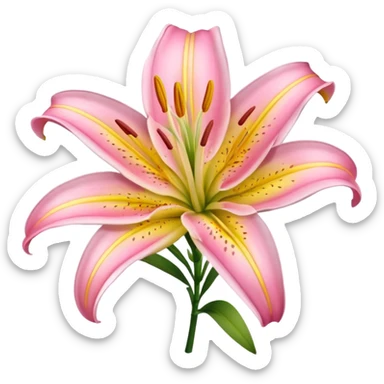 Pink yellow lily sticker