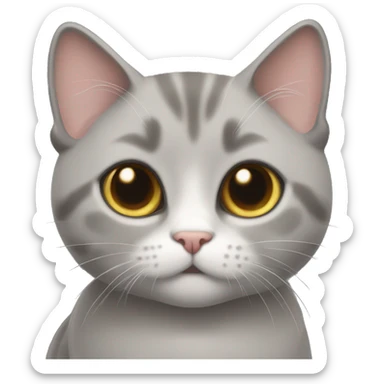 Gray munchkin cat  sticker