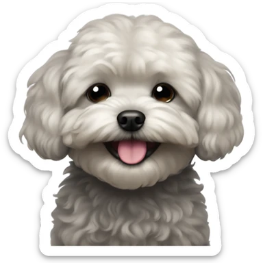 Black maltipoo eyes closed laughing  sticker