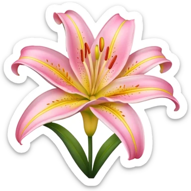 Pink yellow lily sticker