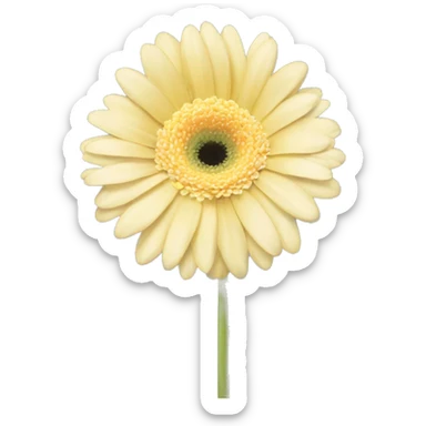 light pale yellow gerbera  sticker