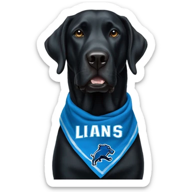 Large Black Lab dog in a Detroit Lions bandana  sticker
