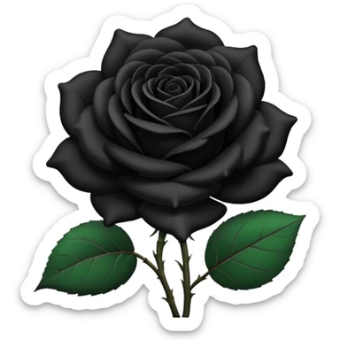black rose, without green leaves, just flower sticker