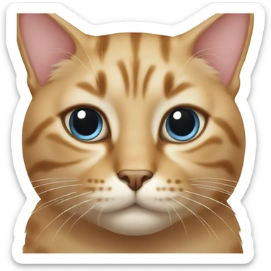 Cat with bulk head sticker