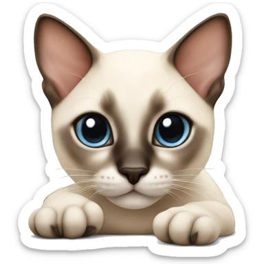 Siamese kitten laying sticker