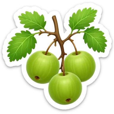 gooseberry on branch sticker