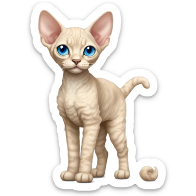 Tall Beige long curly fur Devon Rex Cat Full Body blue eyes  sticker