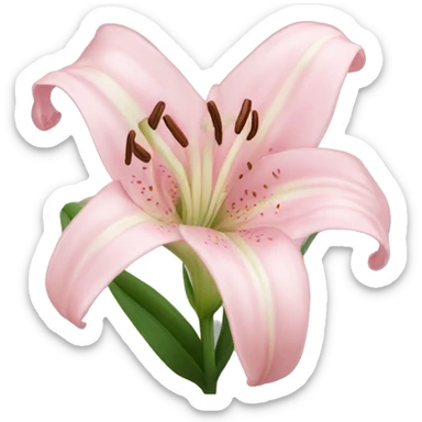 light pink lilium sticker