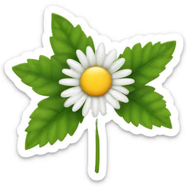 Single daisy flower with leaves and stem sticker