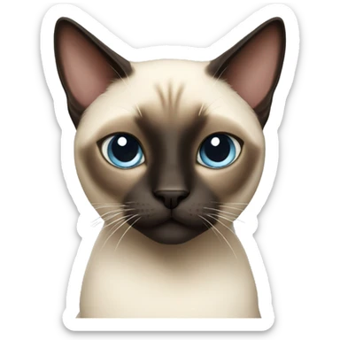 Siamese cat sticker