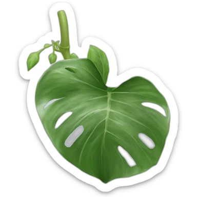 Feuille de Pothos argenté sticker