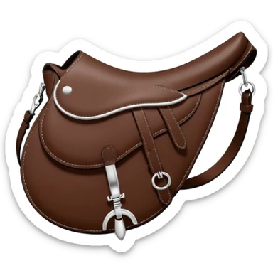 chocolate brown dior saddle bag  sticker
