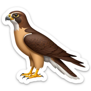 Falcon sticker