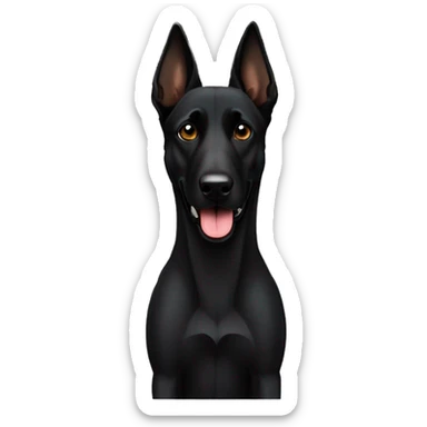 Black Belgian malinois sticker