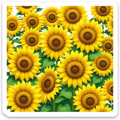 Sunflower field sticker