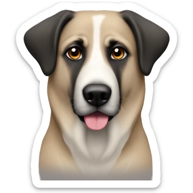 anatolian shepherd tan and black with grey from being old. girl with ears out sticker