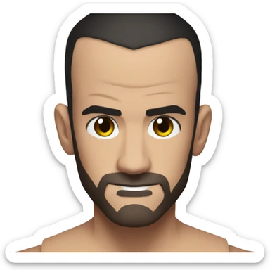 CM Punk sticker