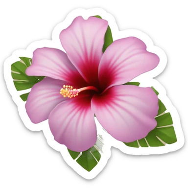 Hibiskus flower sticker