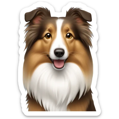 Sable sheltie sticker