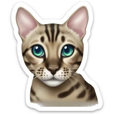 Seal Bengal cat with Blue eyes + charcoal Sepia bengal cat with Green eyes sitting  sticker