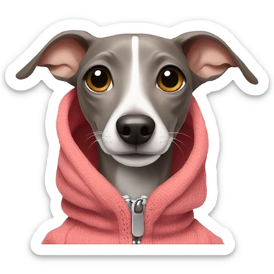 Italian Greyhound with clothes sticker