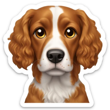 French brittany dog with wavy hair. Face is all black. Little bit of a light orange under his eyes/up his snout. Light orange eyebrows. Head is black in color. Wavy black ears. Ears are all black.  sticker