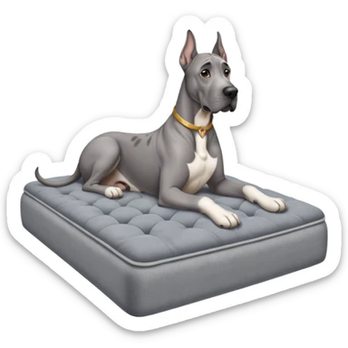 Gray Great Dane on king size mattress floppy ears sticker