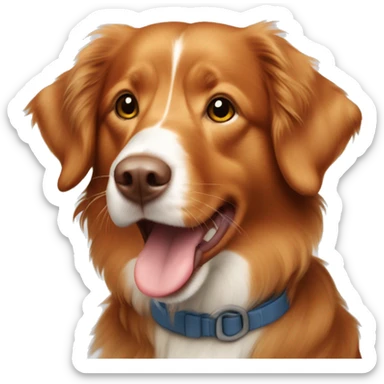 nova scotia duck tolling retriever sticker